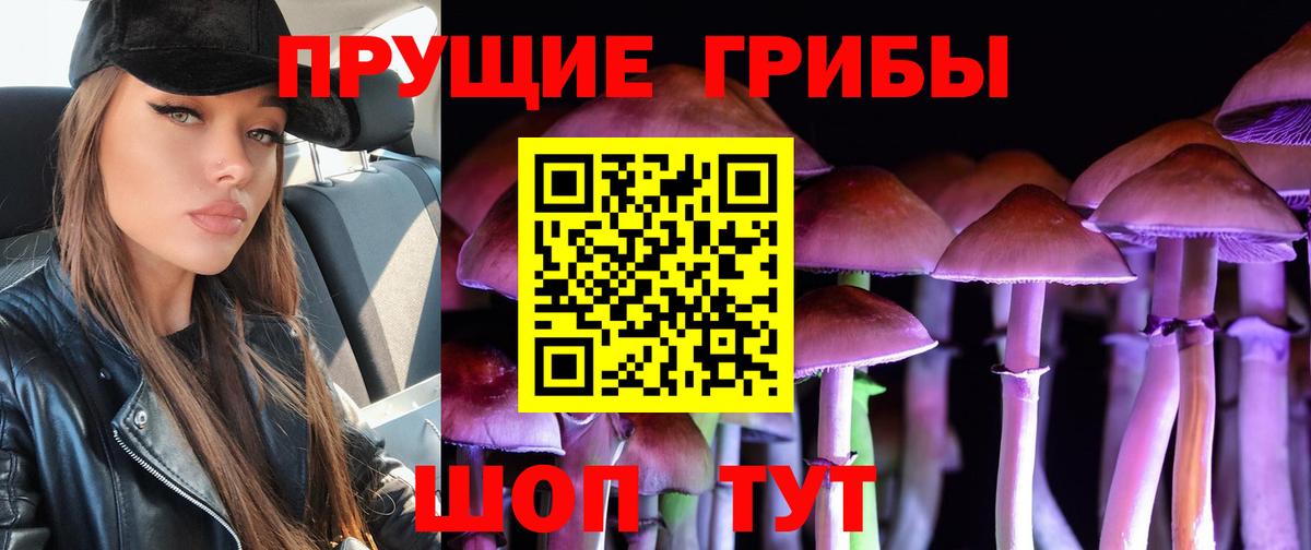Псилоцибиновые грибы прущие грибы Фролово